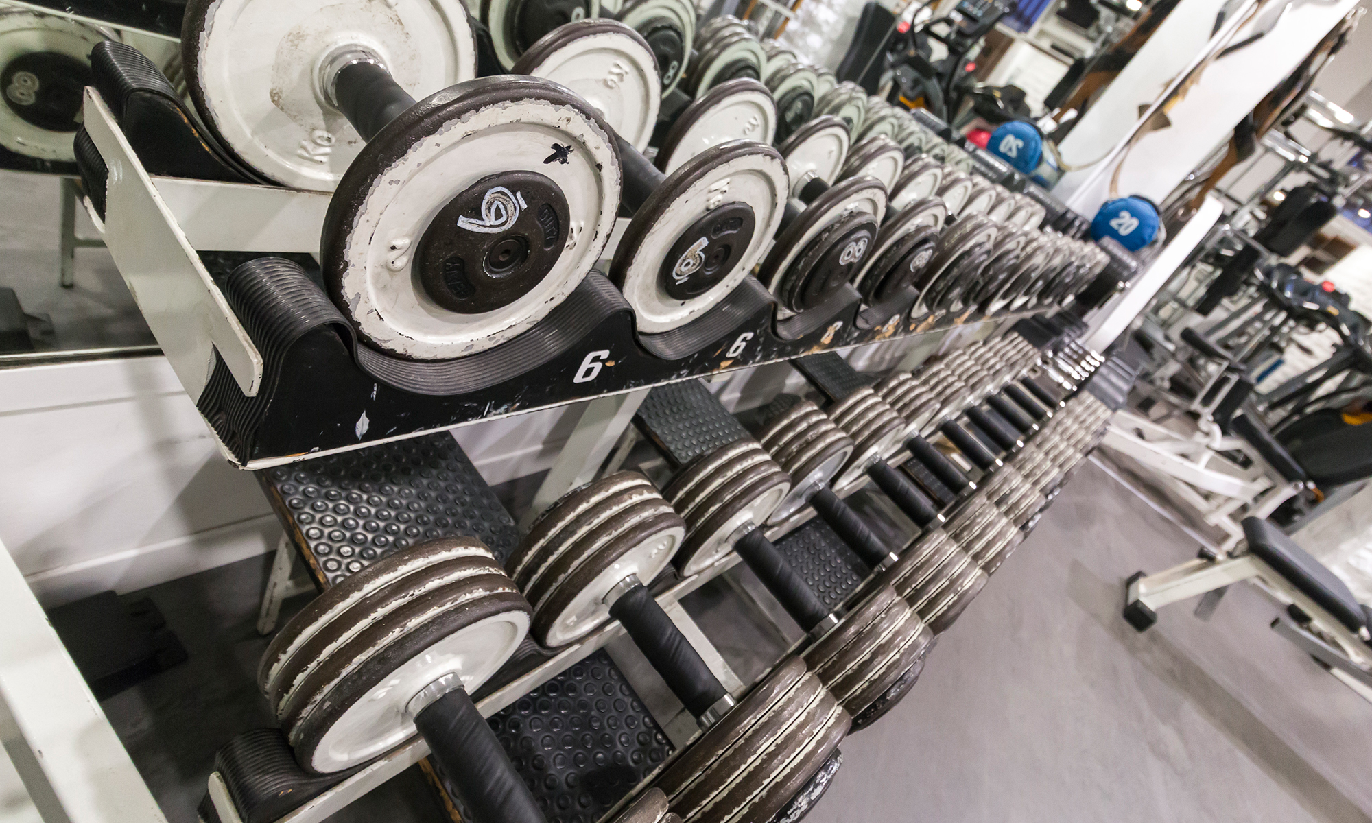 La Nostra Palestra New Gymnika Fitness